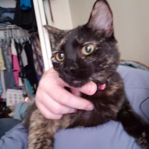 Meet your Posher, Jennifer